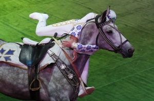 В Видземе на всадника упала лошадь