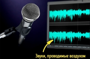 17 ответов на вопросы, которые вы хотели знать, но ленились гуглить