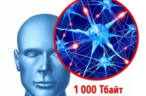 15 особенностей, которые делают человеческое тело уникальным