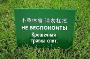 Остроумные объявления, вывески и таблички (21 фото)
