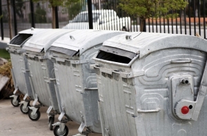 Ребенок рылся в мусорных контейнерах по примеру матери