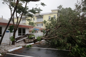 Экс-рижанка - очевидица «Ирмы»: мы были как рыбки в аквариуме, а вокруг все летало