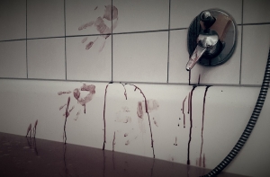 Латвийку в Рейкьявике убил беженец из Йемена