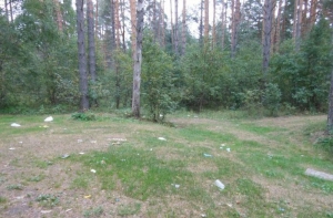 Facebook: нас защищают натовские свиньи!