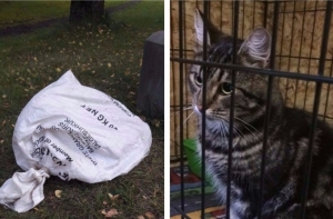 Кот в мешке: приют для животных поражен бессердечностью людей