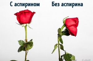 10 хитростей от наших бабушек, которые до сих пор работают