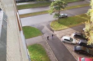 Латвийцев предупреждают о подъездных «проверяющих»