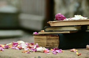 Немного книжного трешачка: пятерка книг не для слабонервных