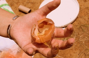 Подросток в Золитуде закидал машину соседа яйцами