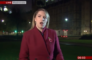 Прямой эфир BBC прервали женские стоны
