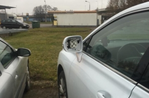 Момент преступления попал на видео: вор снял зеркала с Lexus за несколько секунд