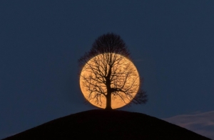 20 фотографий, на которых реальность переплюнула фотошоп