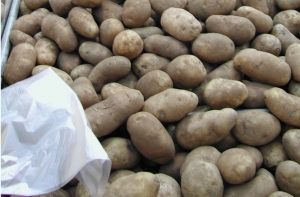 Соцсети: пожилые женщины устроили в магазине драку из-за картошки