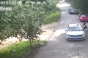 Посетительницу сафари-парка в Пекине съел тигр