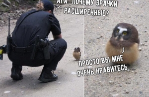 Очередная пятничная подборка СМС-ок, кртинок , высказываний из соцсетей