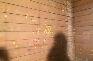 В Угловом доме нашли комнату, где расстреляли почти 200 человек