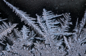 Жертвы холодов: за три месяца в Латвии погибло 35 человек