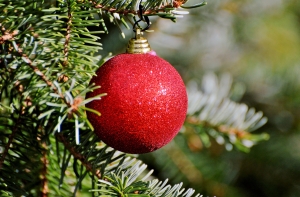 В Риге двое россиян пытались украсть украшения с елки на набережной