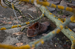 На автобус упало спиленное дерево: пострадал ребенок