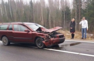 Внимание, животные на дорогах! Что остается от машины после столкновения с косулей