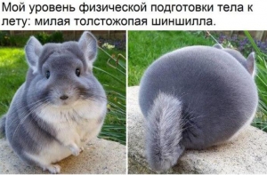 Позитивные И Забавные Картинки, Которые Поднимут Настроение