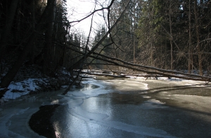 В реках стремительно поднимается уровень воды