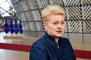 Литва рассматривает вопрос высылки российских дипломатов