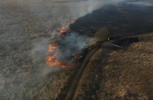 В Риге горят Спилвские луга: пожар локализован, выгорело 40 гектаров