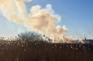 Борьба с огнем на Спилвских лугах длилась 8 часов: пожарные обратилась к населению