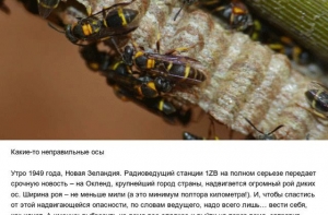 Самые запоминающиеся первоапрельские розыгрыши (10 фото)