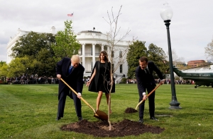 Названа причина пропажи посаженного Трампом и Макроном дуба