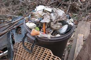 Борец за экологию: нам надо поднять цену на пластиковые упаковки в два раза