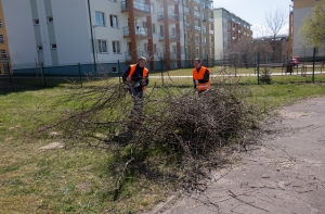В Латвии проходит Большой субботник