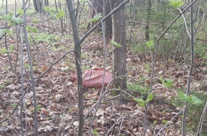 Во время Большого субботника был найден труп человека