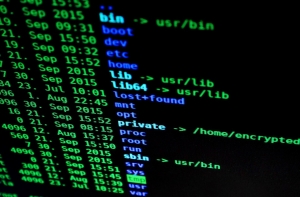 Только 10% компаний Латвии готовы к новым требованиям по защите данных