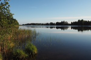 За выходные из водоемов Латвии вытащили пятерых утопленников