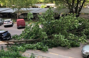 Ураган обрушился на Москву, есть пострадавшие 
