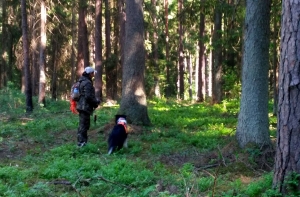 Bezvests.lv: поиски пропавшего 84-летнего пенсионера продолжаются