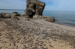 На побережье в Курземе выбросило мертвую рыбу