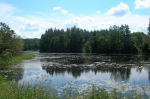 Спасатели нашли двух утопленников в водоемах