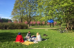 Журналистка устроила в парке Победы «пикник национального сопротивления» (если поставить будет нечего, только не на главную)