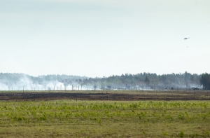 Пожар на Адажском полигоне ликвидирован