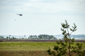 Тушение пожара в Адажи может занять неделю