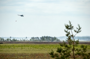 Пожар на Адажском полигоне продолжил распространяться