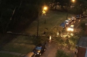 Ветер оставил без электричества тысячи семей по всей Латвии