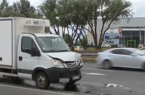 Чайка могла стать причиной ДТП на Краста