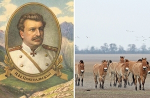 Неизвестный Пржевальский: Что путешественнику принесла игра в карты, и почему его называли отцом Сталина