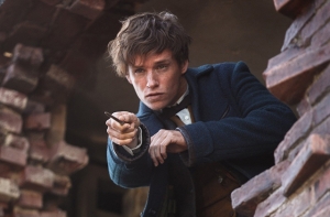 Вышел второй трейлер фильма «Фантастические твари и преступления Грин-де-Вальда»
