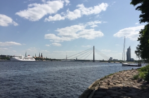 Из-за сине-зеленых водорослей призывают не купаться на Кипсале