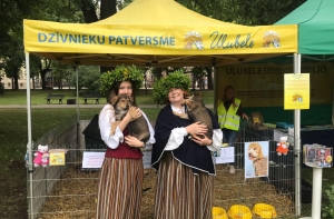 Ulubele хочет найти хозяев четырем щенкам во время Праздника песни